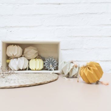 Coffret 7 pampilles |poudre|