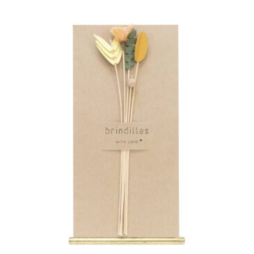 Brindilles | brome |