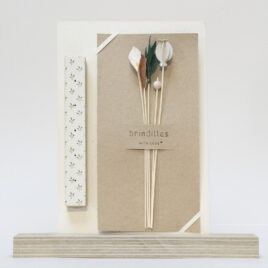 Coffret Brindilles | Fragonnette |