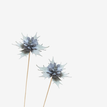 2 Fleurs – | Chardon |