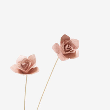 2 Fleurs – | Rose |