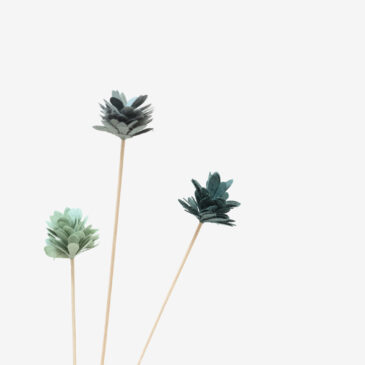 3 Pompons – | Les Eucalyptus |