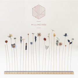 « La Belle Étoile » – Calendrier de L&rsquo;Avent