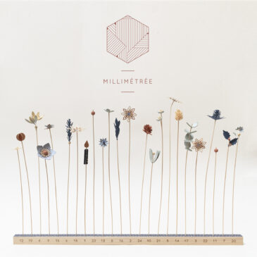 « La Belle Étoile » – Calendrier de L’Avent