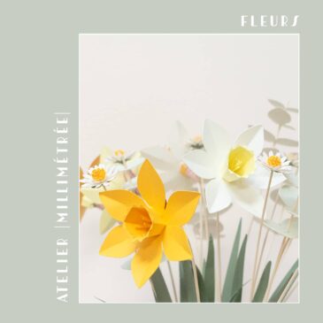 Ven 08 Mai • 10h00 à 12h30 • Longeville-sur-mer