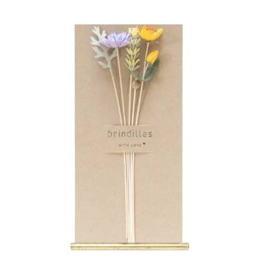 Brindilles | Chicorée |