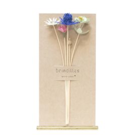 Brindilles | Soulane |