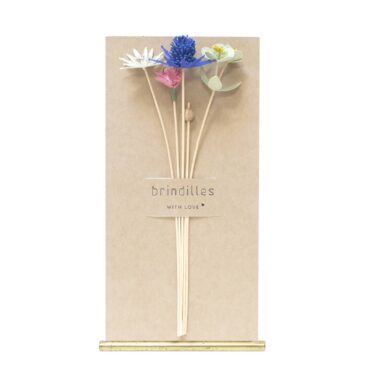 Brindilles | Soulane |