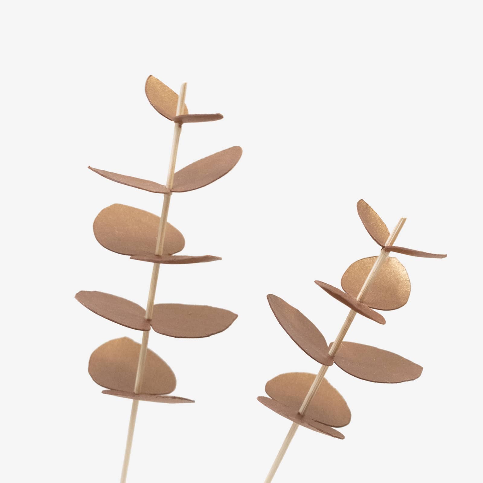 bar_lesfeuillages_eucalyptus_cuivre