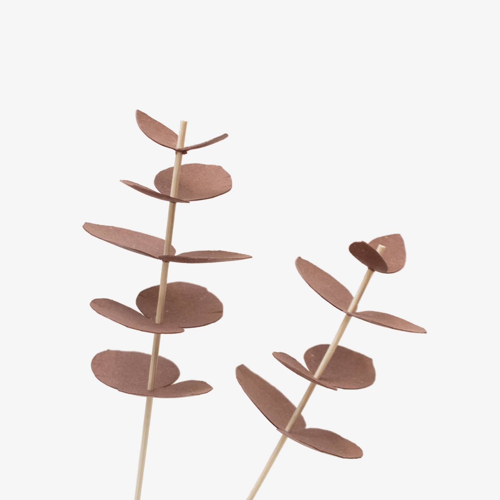 bar_lesfeuillages_eucalyptus_terracotta